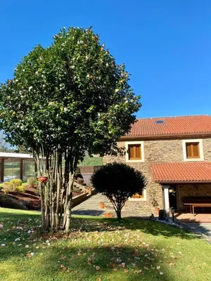 two trees in a yard in front of a building at Casa Compostela in Bama