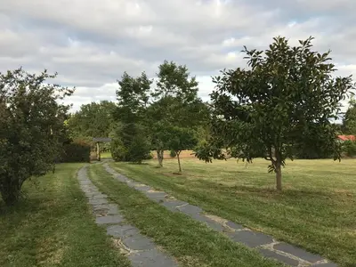a cobblestone path through a field with trees at Pensión Xacobe in Cabreiros