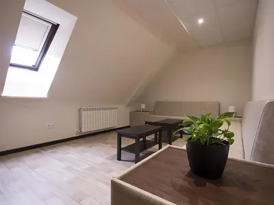 a living room with a plant on a table at Albergue Piñeiral Fonsagrada in Fonsagrada