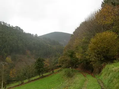 a view of a hill with trees and a road at Apartamentos Rurales Casa El Caminero in Merás