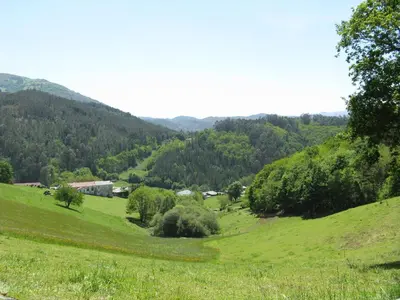 a green hillside with trees in a field at Apartamentos Rurales Casa El Caminero in Merás