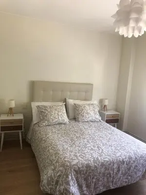 a bedroom with a bed with two pillows and two tables at Alojamiento ideal en Santiago in Santiago de Compostela