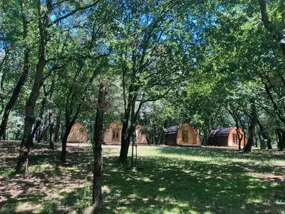 a group of tents in a field with trees at Camping Vila de Sarria in Sarria