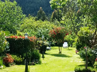 a garden with trees and flowers and a car in the background at Casa Nastasia in A Pontenova