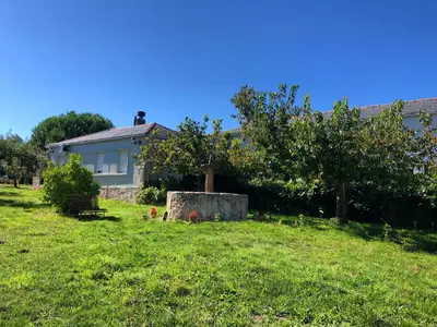 a house in a field with a yard with a tree at HOTEL AS MACEIRAS in Trives