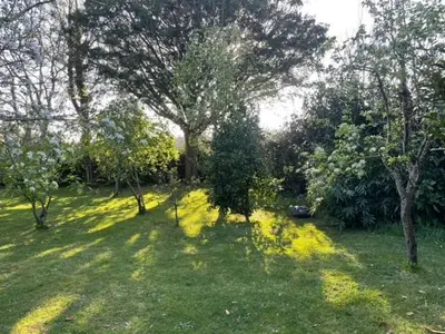 a field of grass with trees in the background at Casa Do Bosque in Cabañas