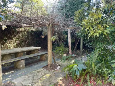 a wooden bench sitting under a tree in a garden at Casa Do Bosque in Cabañas