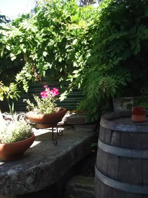 two potted plants sitting on a set of stairs at Obradoiro in Sarria