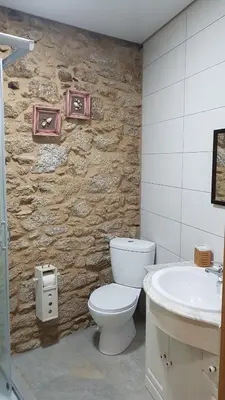 a bathroom with a stone wall with a toilet and a sink at A Paragűeria in Sas de Penelas