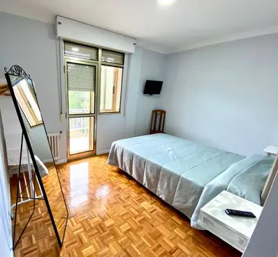 a bedroom with a bed and a mirror in it at Garden Lodge Hostal Evencio in Ribadavia
