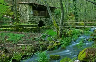 a stream in front of a building next to a house at Casa Chuss in Sober