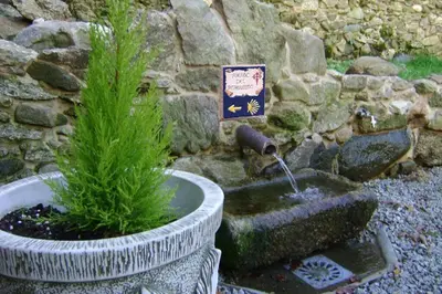 a fountain in a garden with two potted plants at Stone Cottage SANTIAGO in Curtis