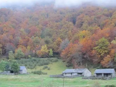 an autumn view of a field with two barns at Apartamentos Rurales Casa Baltasar in Monasterio De Hermo