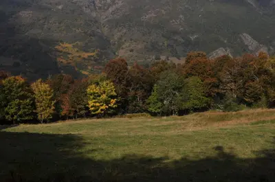 a grassy field with trees and mountains in the background at Apartamentos Rurales Casa Baltasar in Monasterio De Hermo