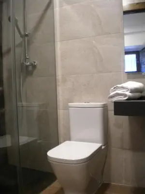 a bathroom with a toilet and a glass shower at Casa de Aldea Araceli in Berducedo