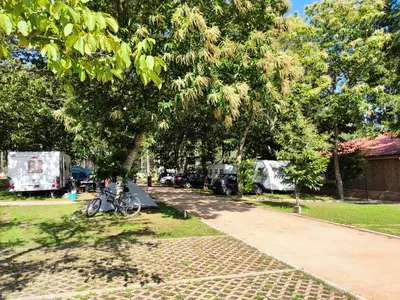 a bike parked under a tree in a park at TEIRABOA BASE CAMP in Arzúa