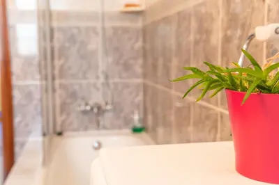 a potted plant sitting on a counter in a bathroom at Apartamento Ultreia in Palas de Rei