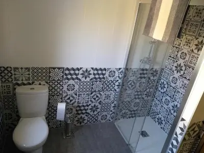 a bathroom with a toilet and a shower at Casa Valdequiruelo in Vanidodes