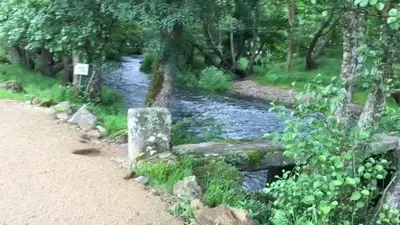 a stream in the middle of a forest at A Casa do Latoneiro in Caldas de Reis
