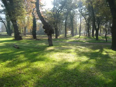 a field of grass with trees in the background at A Casa do Latoneiro in Caldas de Reis