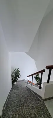 a white room with two potted plants and a table at Casa entera en Nois-Foz in Nois