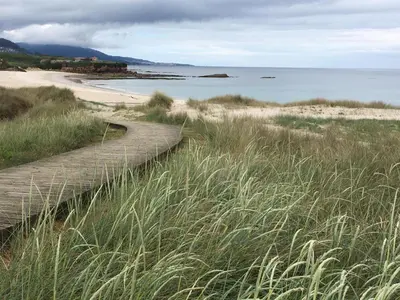 a wooden path leading to a beach with tall grass at Villa De Foz in Foz