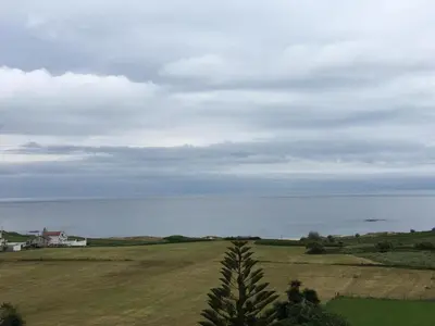 a tree in a field with the ocean in the background at Villa De Foz in Foz