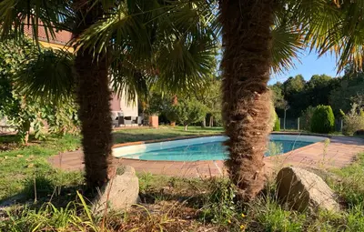 a swimming pool between two palm trees in a yard at A PORTELA - Pereiro de Aguiar in Covas