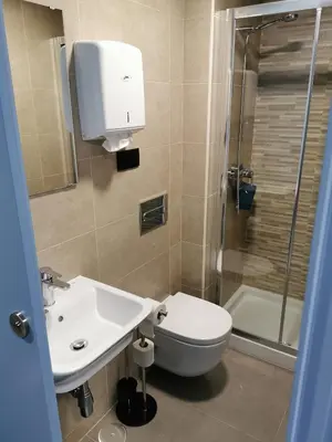 a bathroom with a toilet and a sink and a shower at Los Tres Abetos in Arzúa