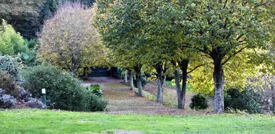 a path through a garden with trees and grass at Casa San Ginés in Cruces