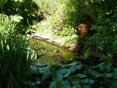 a pool of water in a garden with plants at Casa San Ginés in Cruces