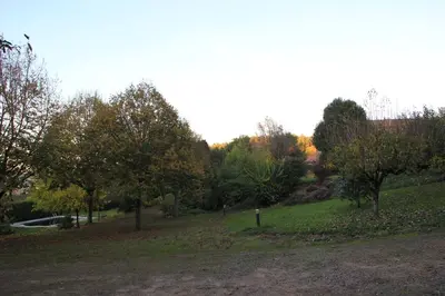 a park with trees and a grassy field at Casa San Ginés in Cruces