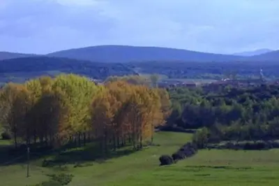 a green field with trees and mountains in the background at CASA CAMARGA in Santiago Millas