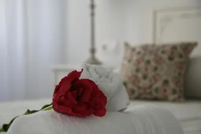 a red and white rose sitting on top of a bed at Lar do Peregrino in Palas de Rei