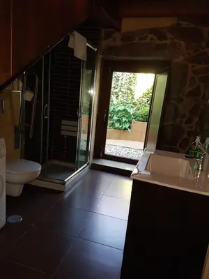a bathroom with a shower and a sink and a toilet at CAPELA DA GRANXA in Pontevedra