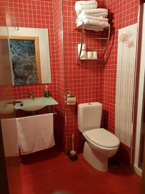 a red tiled bathroom with a toilet and a sink at CAPELA DA GRANXA in Pontevedra