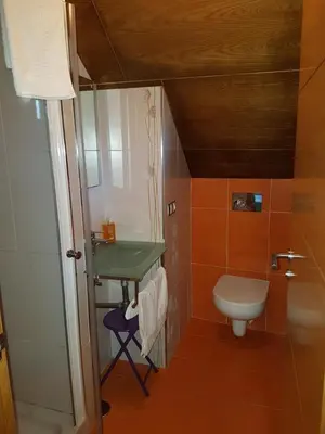 a small bathroom with a toilet and a sink at CAPELA DA GRANXA in Pontevedra