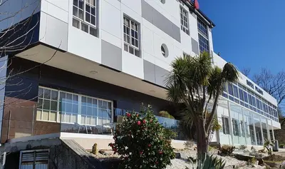 a building with a palm tree in front of it at Hotel Prados in Lugo