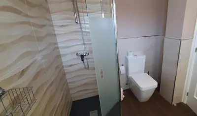 a bathroom with a shower and a toilet at Hotel Prados in Lugo