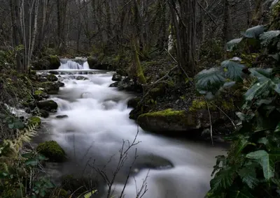 a stream in a forest with a waterfall at Hotel Restaurante Casa Pipo in Tuña
