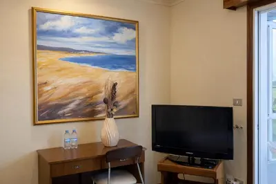 a living room with a television and a painting on the wall at Hotel San Rosendo in Ourense