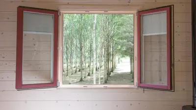 two windows in a room with trees in the background at Cabanas da Ulla in Touro