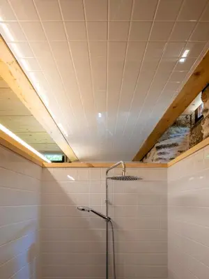 a bathroom with a shower and a ceiling at Abeiro da loba in Madelos