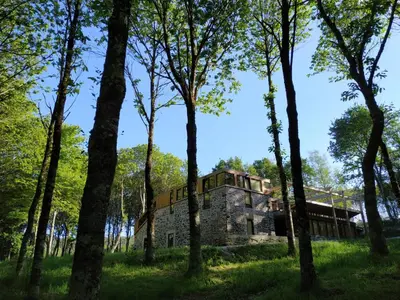 a house in the woods with trees in the foreground at Abeiro da loba in Madelos