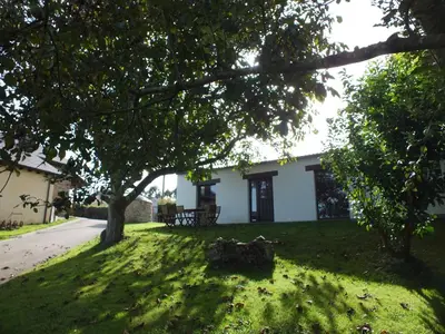 a white house with a tree in the yard at Apartamentos Puerta del Castro in Coaña