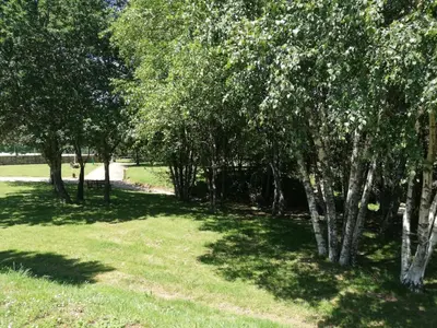 a group of trees in a park with grass at Alojamiento Camiño Real in Sigüeiro