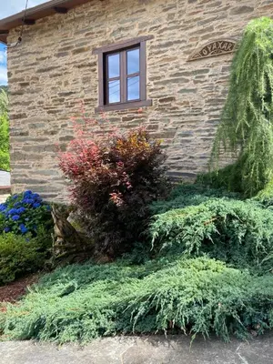 a brick building with a window and some plants at O Paxar in Samos