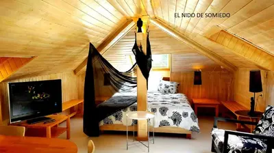 a bedroom with a bed and a hammock in a room at zentralclub apartamento El Nido de Somiedo in Santiago del Hermo
