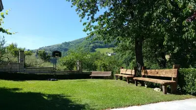two park benches sitting in the grass under a tree at Casa Rural La Pumarada de Limés in Cangas del Narcea