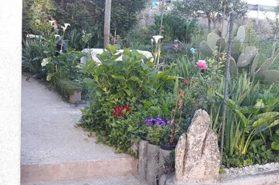 a garden with a bench in front of a building at Casa IRIENSE VUT-CO-004308 in Padrón